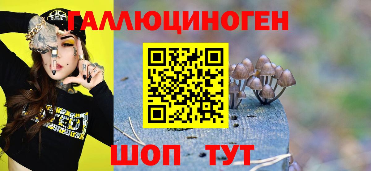 Галлюциногенные грибы ЛСД Майкоп